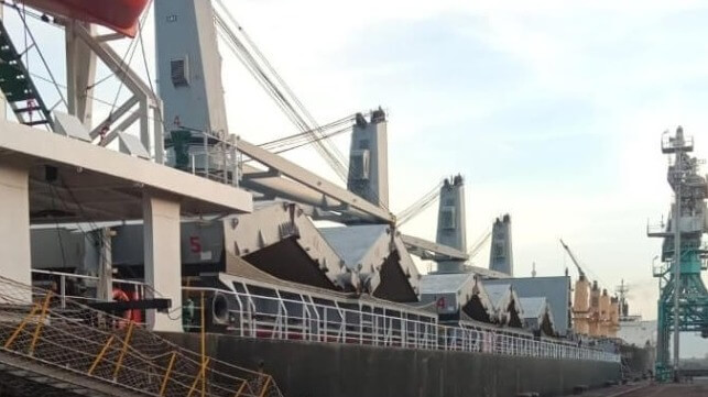 Bulker docked in Ukraine port