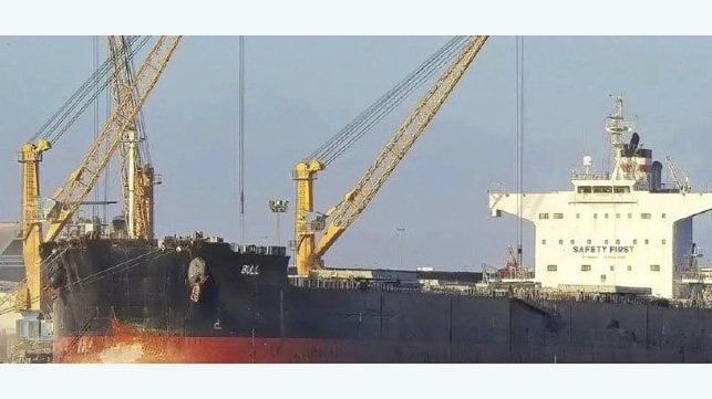 bulker in Ukrainian port