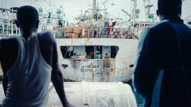 Illegitimate-looking fishing vessel flagged in Senegal