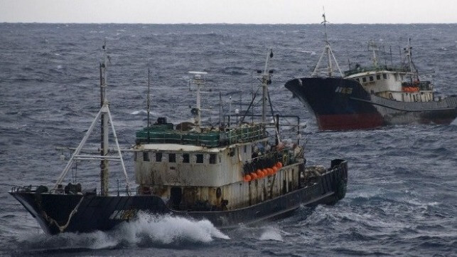 Chinese distant-water fishing vessels on the high seas of the North Pacific (U.S. Coast Guard file image)