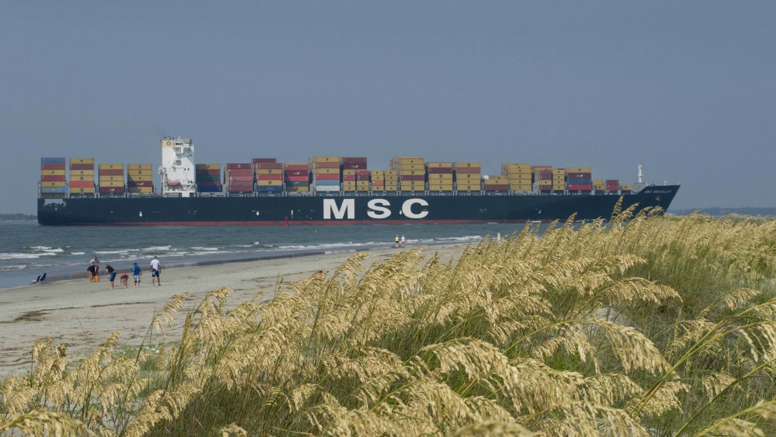 MSC ship in Charleston, SC
