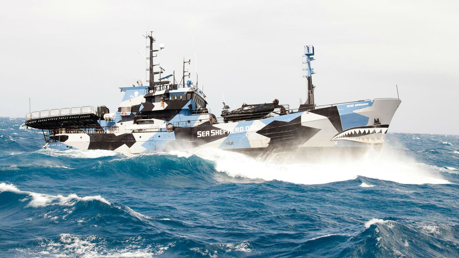 Debate: Is Sea Shepherd a Navy?