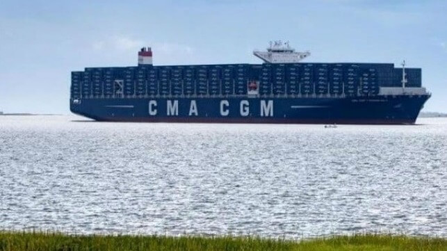 stowaways on containership