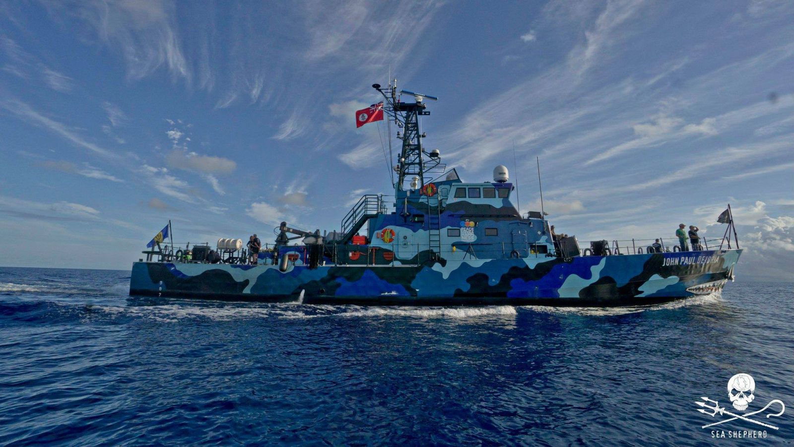 Sea Shepherd Embarks on Shark Protection Operation
