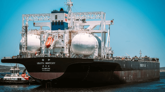 large dual-fuel LNG bulkers 
