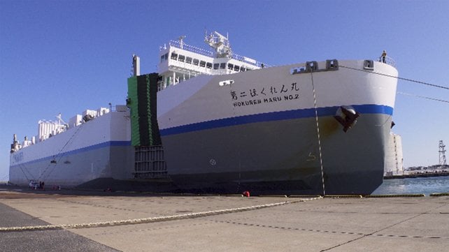 domestic Japanese RoRo