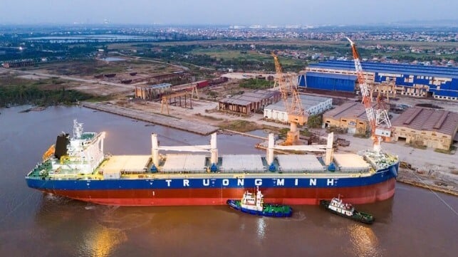 Vietnamese built dry bulk carrier