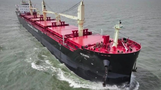 seized bulker