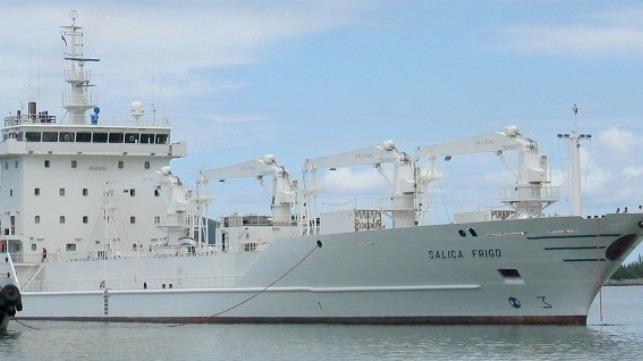 file photo of conventional reefer ship