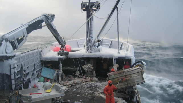 IFISH Crabfishing Kit