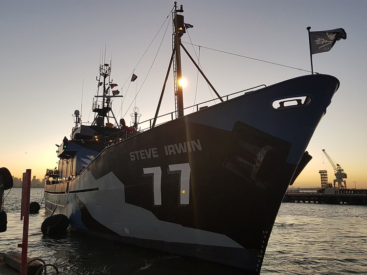 Sea Shepherd Store - #SundayFunday – Sea Shepherd has had many vessels in  Neptune's Navy. Starting in 1978 with Ex-British trawler Westella which  became (>) Sea Shepherd. * Ex-fishing trawler St. Giles >