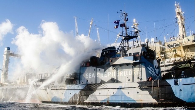 The Steve Irwin's smoke stacks billow steam  after water canon attack  photo credit: Eliza Muirhead / Sea Shepherd Australia