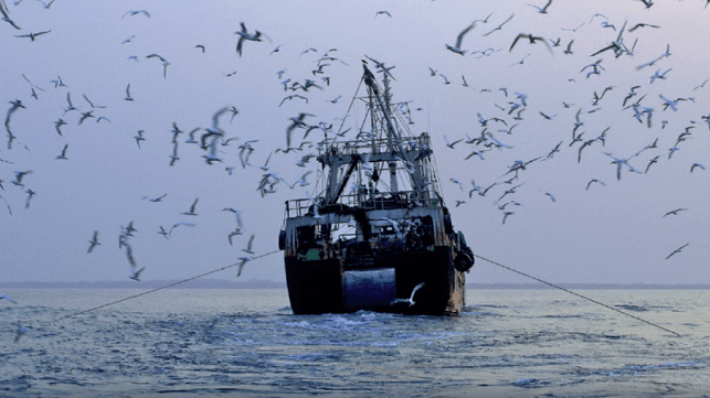 Factory trawler off Ghana (File image courtesy EJF)
