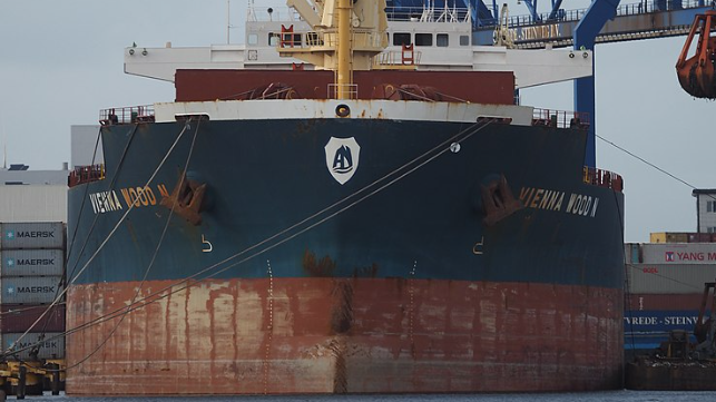 vienna wood bulker ship