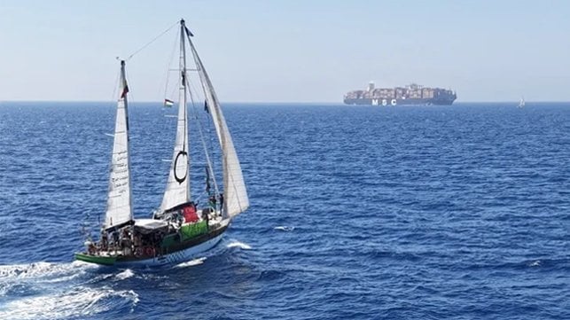 sailboat approaching MSC containership