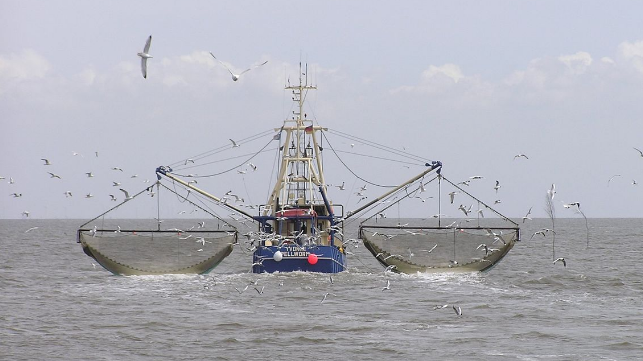 fishing boat