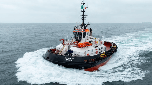 Damen Shipyards Group