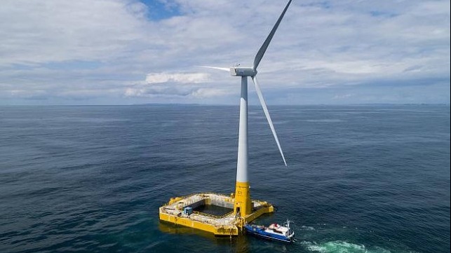 Environmental assessment of proposed areas for offshore wind farms