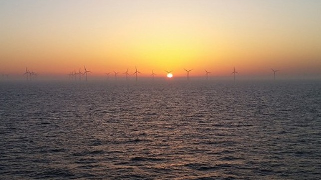 future offshore wind project pre-commercialization