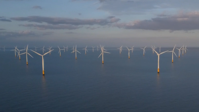 vietnam wind farm