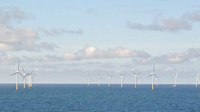 Costs rising of Netherlands' grid expansion for North Sea wind farms:  ministry