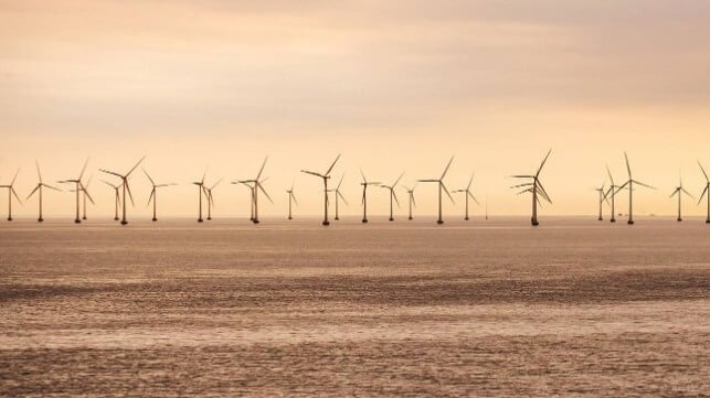 Offshore wind farm