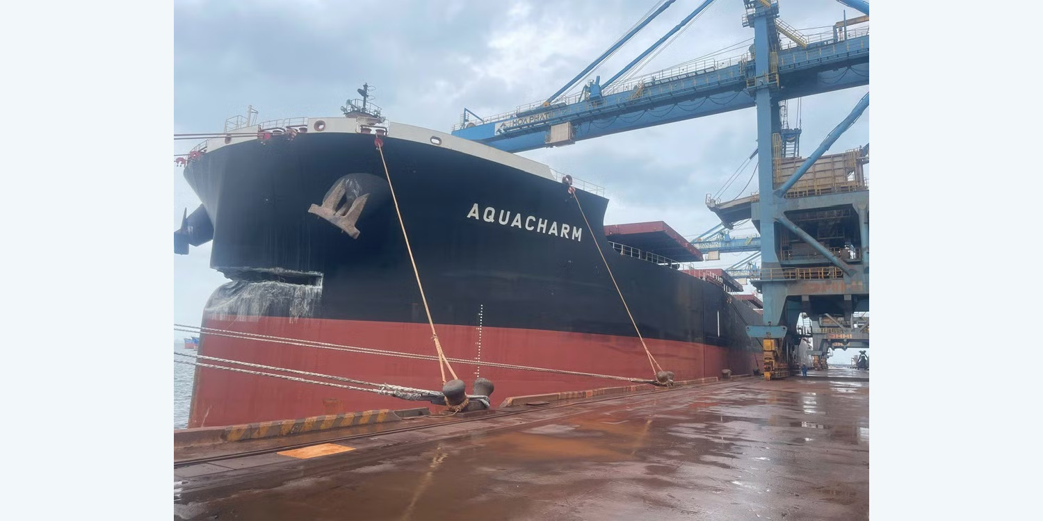 Bulker Holed in Dock Allision Prompts New Rules for Vietnamese Port
