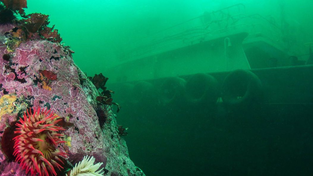 Transportation Safety Board to investigate sunken tug in B.C.'s