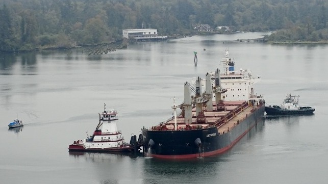 grounded bulk carrier container ship leak US Coast Guard