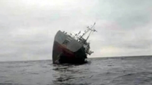 Estonian-owned cargo ship sinks in Black Sea after hitting mine