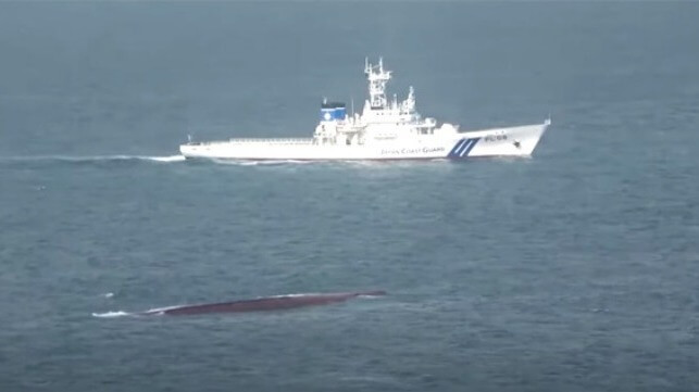 capsized cargo ship Japan