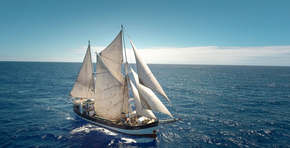 Winds of change: the sailing ships cleaning up sea transport, Water  transport