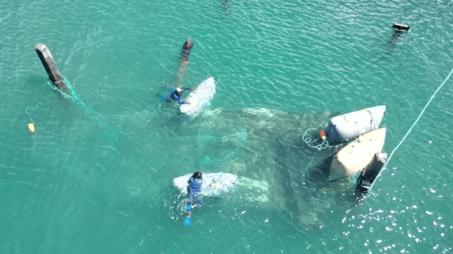 A team from Global Diving & Salvage uses float bags to move a sunken wreck in Lahaina's harbor (USCG)
