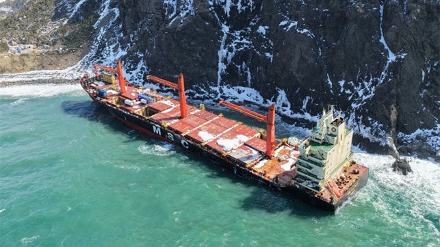 wreck of containership grounded in Newfoundland Canada