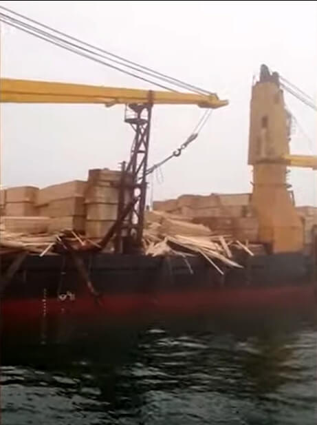 Video: Lumber Cargo Litters Shore After Falling from Cargo Ship