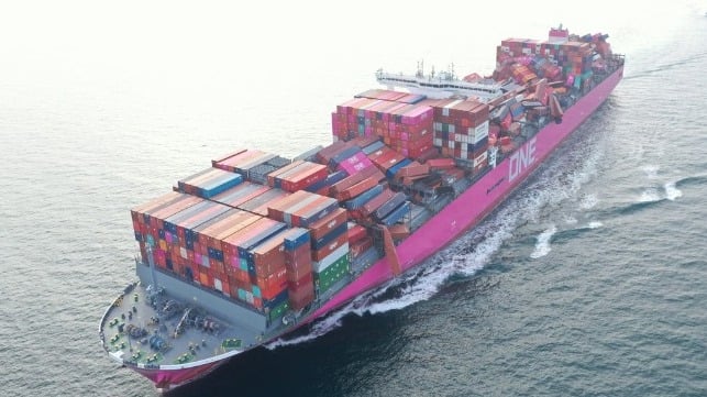 video survey of damaged containers on ONE Apus