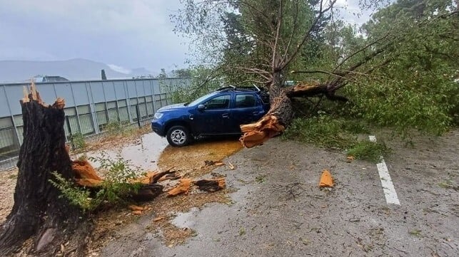 Storm damage in Split (courtesy Marjan Forest Park)