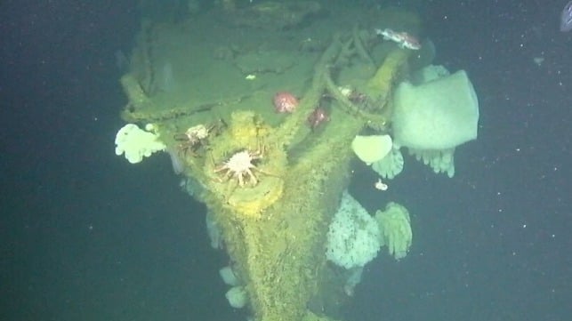 Wreck WWII USS Stewart