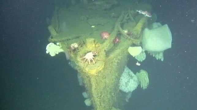 Wreck of USS Stewart