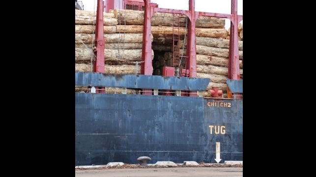 maritime nz ladder