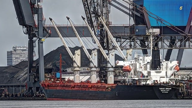 bulker at dock