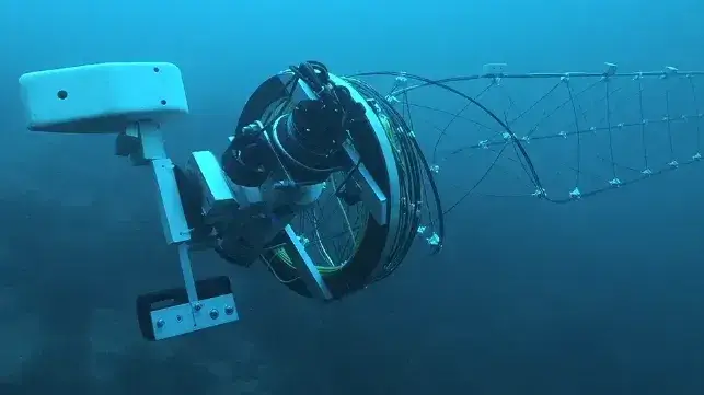 Sea Spear