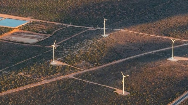 Wind farm in Denham, Western Australia (Chris Gordon / iStock)