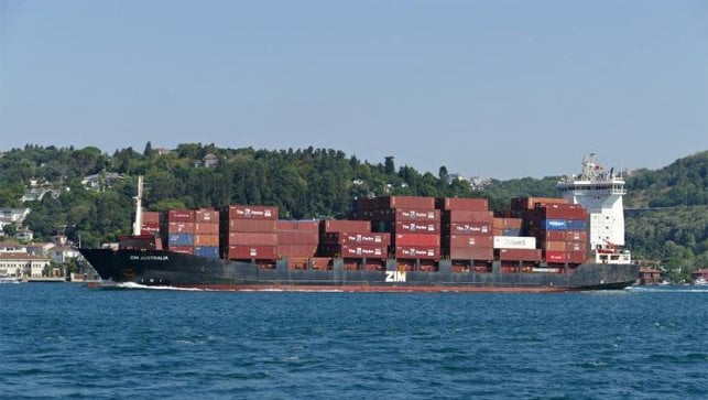 Zim feeder ship containership