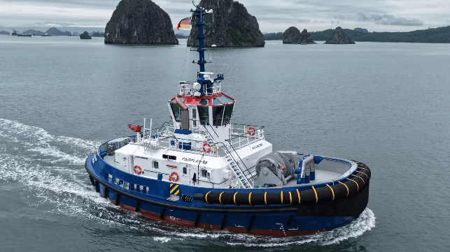 Damen Shipyards Group