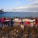 [Video] Rare Giant Oarfish Carcass Discovered Off California