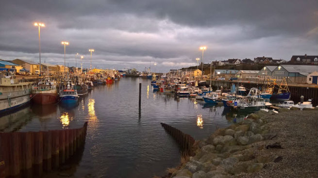 fishing fleet