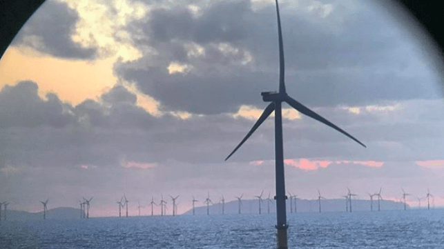 Orsted file image of wind turbines