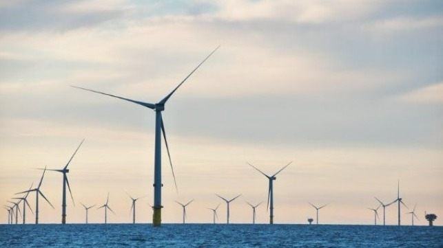 Vestas 9.5 MW turbines at the new Triton Knoll wind farm (RWE UK)